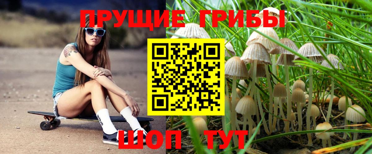 Псилоцибиновые грибы MAGIC MUSHROOMS Донской